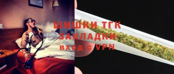 ПСИЛОЦИБИНОВЫЕ ГРИБЫ Арсеньев