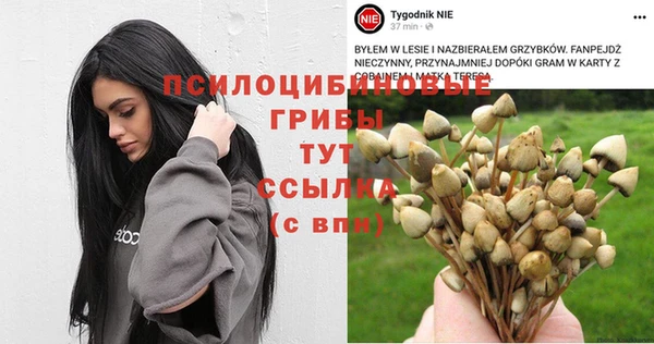 кристаллы Алзамай