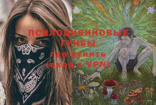 стафф Алексеевка