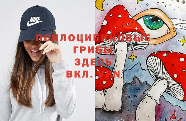 шишки Алексин