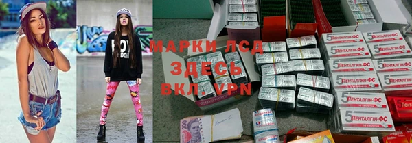 шишки Алексин
