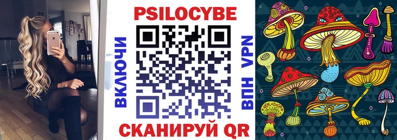 дарнет шоп  Таруса  Псилоцибиновые грибы Magic Shrooms 
